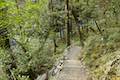 Arthur's Pass Walking Track