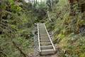 Arthur's Pass Walking Track