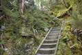 Arthur's Pass Walking Track