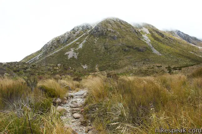 Otira Valley Track