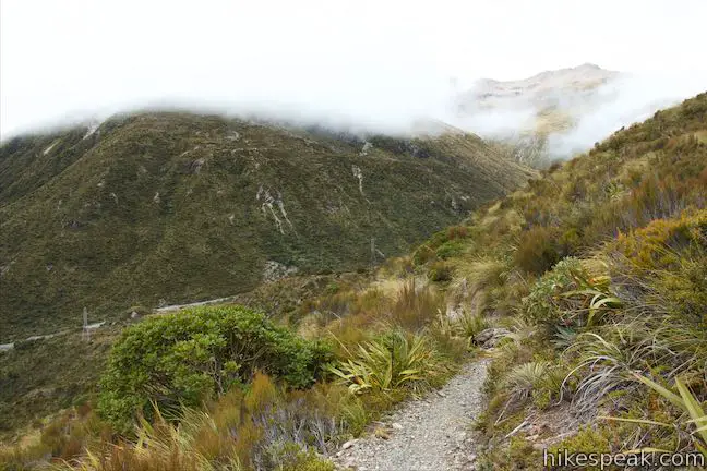 Otira Valley Track