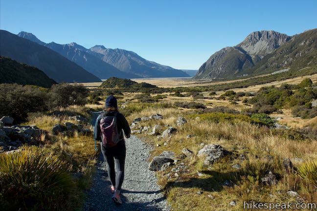 Kea Point Track