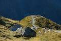 Mueller Hut Route Sealy Tarns