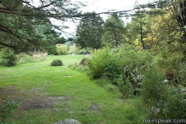 Wooded Gully Campground