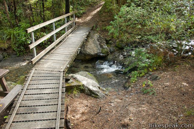 Wooded Gully Track