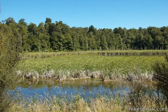 Lake Rotokura Ecological Reserve Dry Lake