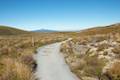 Tongariro Alpine Crossing