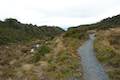 Silica Rapids Track Tongariro National Park