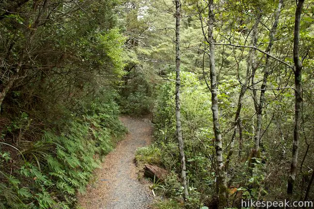 Silica Rapids Track Tongariro National Park