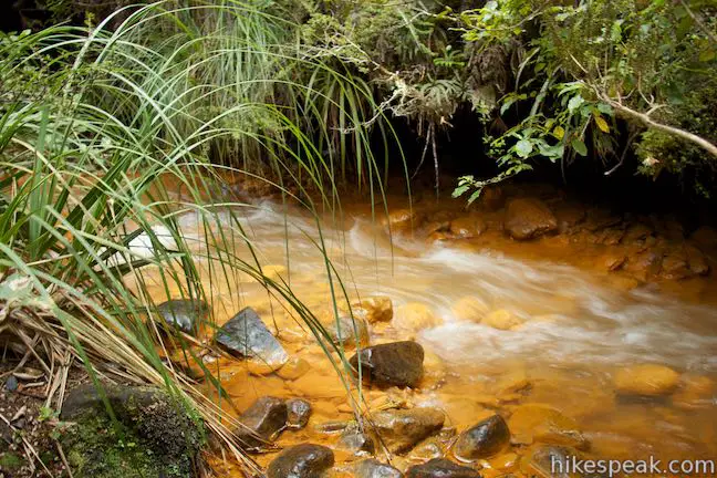 Silica Rapids Track Golden Rapids