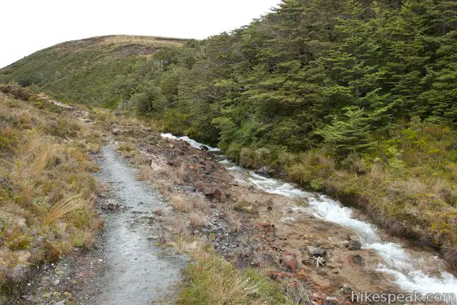 Silica Rapids Walk Tongariro National Park