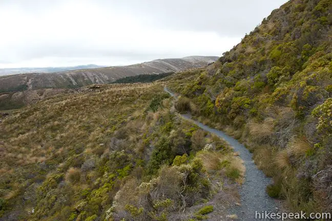 Silica Rapids Walk Tongariro National Park
