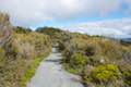 Upper Taranaki Falls Track Tongariro National Park