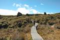 Upper Taranaki Falls Track Tongariro National Park