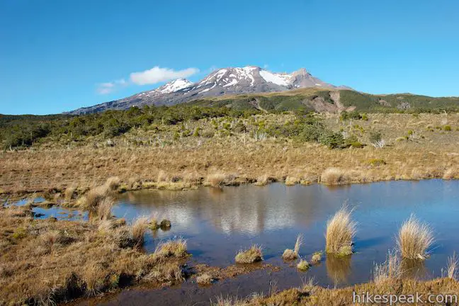 These pools can be found along Waitonga Falls Track in Tongariro National Park, providing a postcard view of Mount Ruapehu reflected in an alpine bog before you reach a waterfall that plunges down a canyon wall.