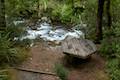 Whakapapanui Stream