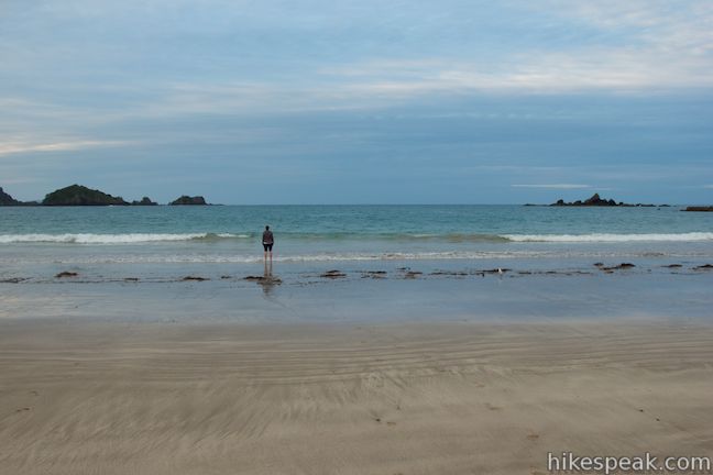 Otamure Bay Campground New Zealand