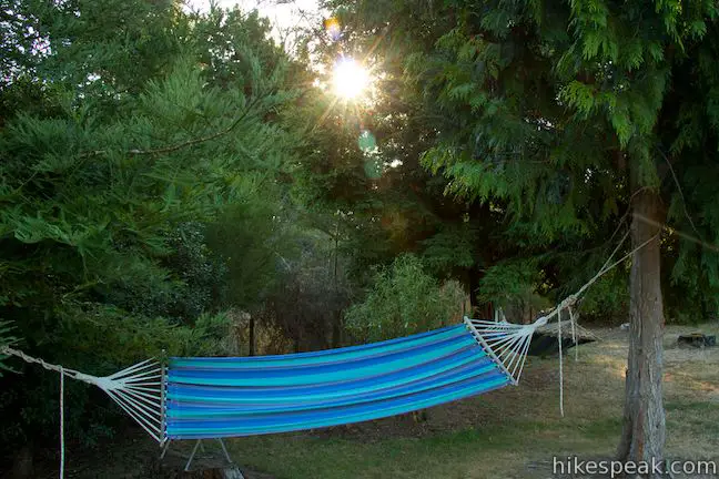 Whakaipo Lodge Hammocks