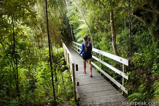 Lake Rotopounamu Walk