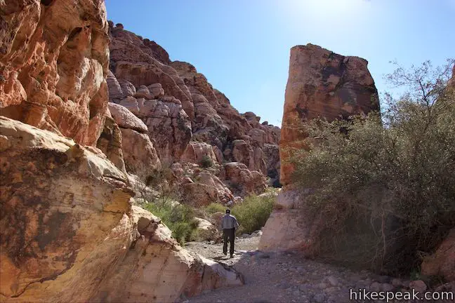 Hike through spectacular sandstone formations in the Calico Hills near the start of Scenic Drive.
