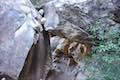 Lost Creek Canyon Trail Boulders