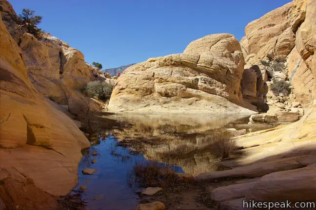 Hike up a multi-colored sandstone canyon to a basin of water accompanied by views of Las Vegas.