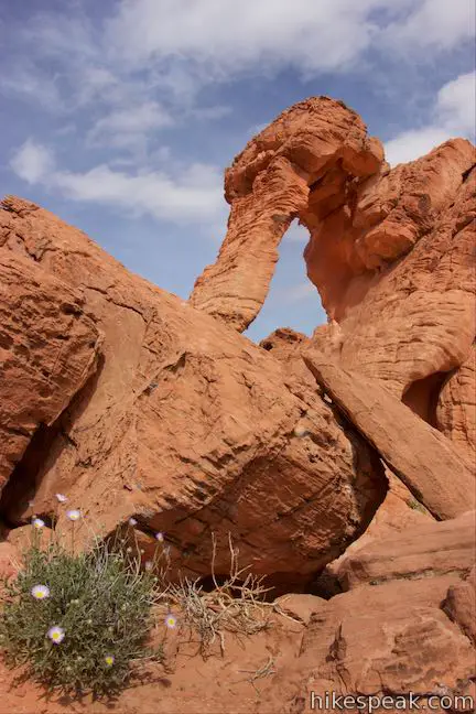 Elephant Rock Valley Of Fire Hikespeak Com