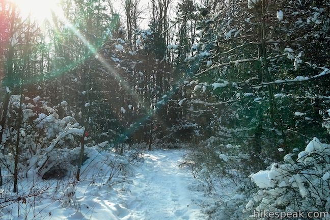 Beaver Lake Nature Center Snowshoe Trail