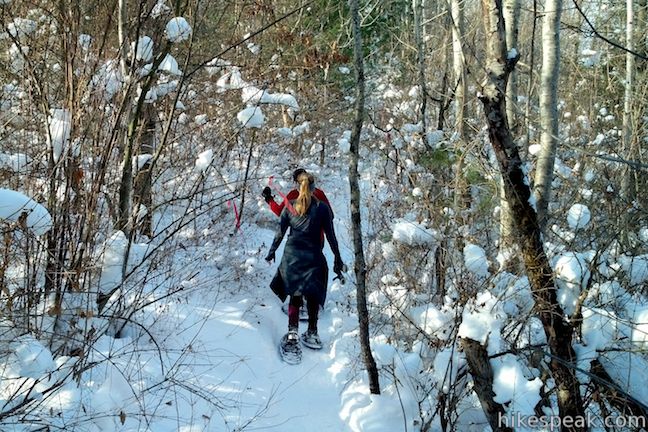 Beaver Lake Nature Center Snowshoe Trail