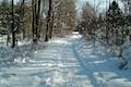 Beaver Lake Nature Center Snowshoe