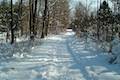 Beaver Lake Nature Center Snowshoe