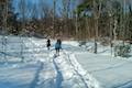 Beaver Lake Nature Center Snowshoe