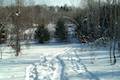 Beaver Lake Nature Center Snowshoe