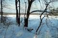 Beaver Lake Nature Center Snowshoe