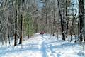 Beaver Lake Nature Center Snowshoe