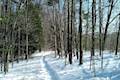 Beaver Lake Nature Center Snowshoe