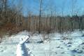 Beaver Lake Nature Center Snowshoe