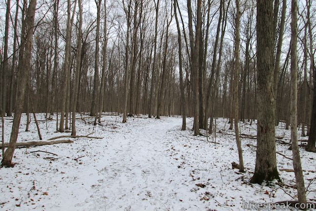 Clark Reservation State Park Long Trail