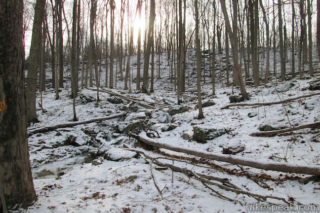 Clark Reservation State Park winter frozen stream