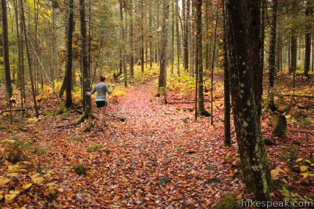 Adirondack Hiking Trail