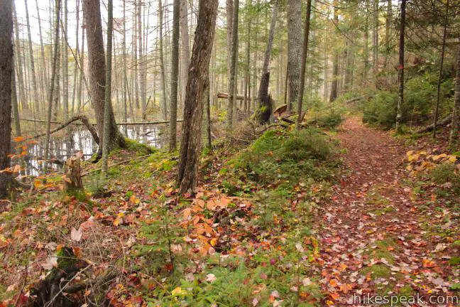 Grassy Pond Trail Adirondacks