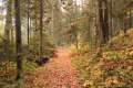 Grassy Pond Trail