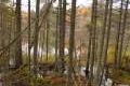 Grassy Pond Trail