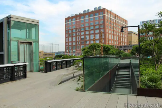 High Line Trail Plants