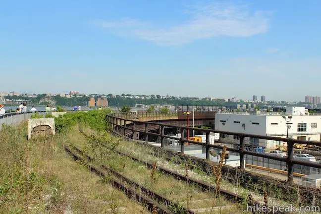 High Line Trail Plants