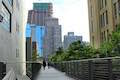 High Line Trail Falcone Flyover