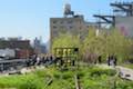 High Line Trail Art Exhibit