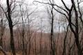 Labrador Hollow Sky Line Trail