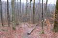 Labrador Hollow Sky Line Trail