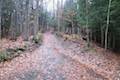 Labrador Hollow Sky Line Trail